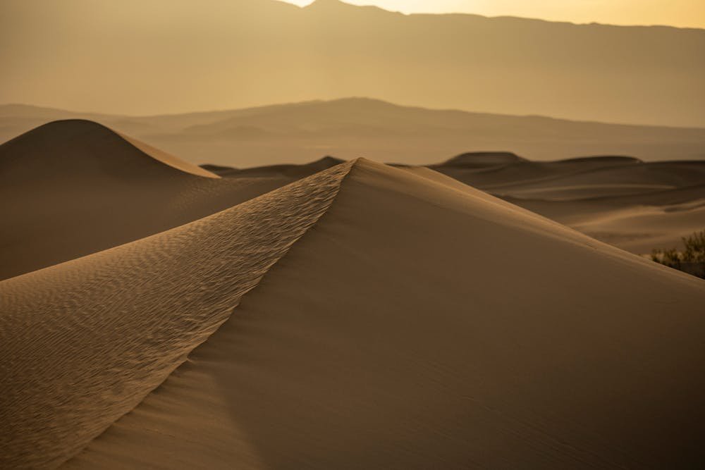 Morning desert safari Dubai camel ride at sunrise